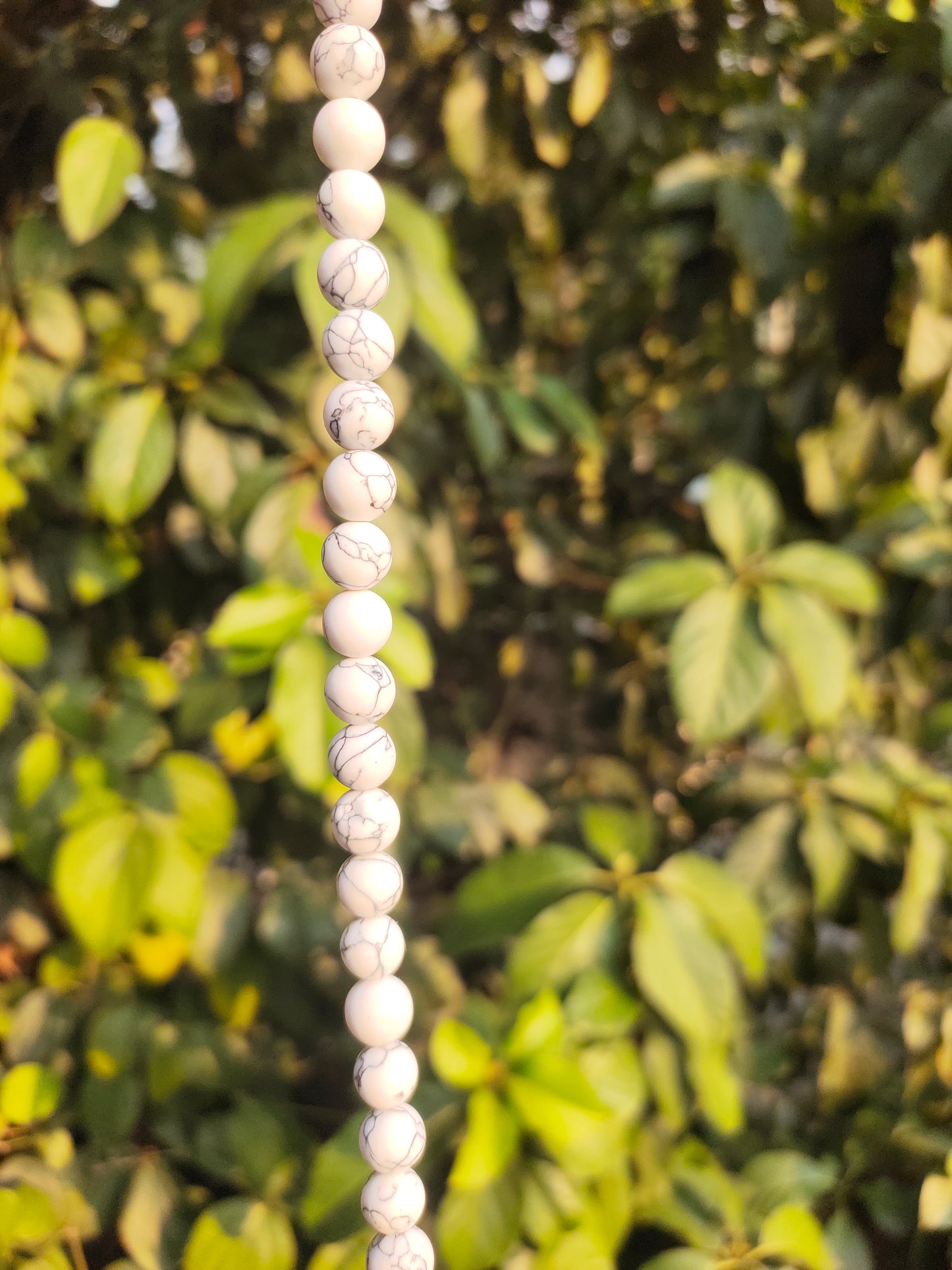 Howlite Beads